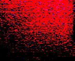 Evan Flare 1