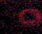 Evan Flare 3